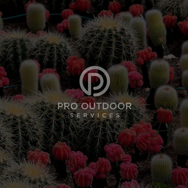 Design by Isabelle94 titled "Pro Outdoor Services"