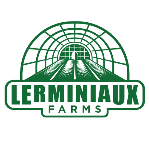 Modern/Abstract logo for small upstate NY vegetable farm. Design by metaXsu