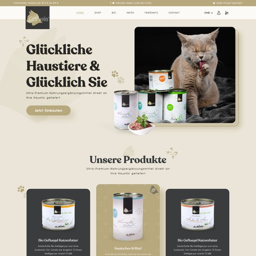 Web page design contest entry by BSD Techs