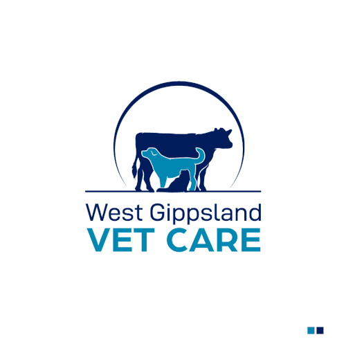 Freshen up our look to fit our renovated mixed animal Veterinary Clinic (update: no horses please) Design by Insfire!