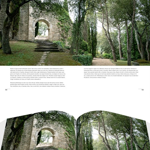  contest entry by ALXB