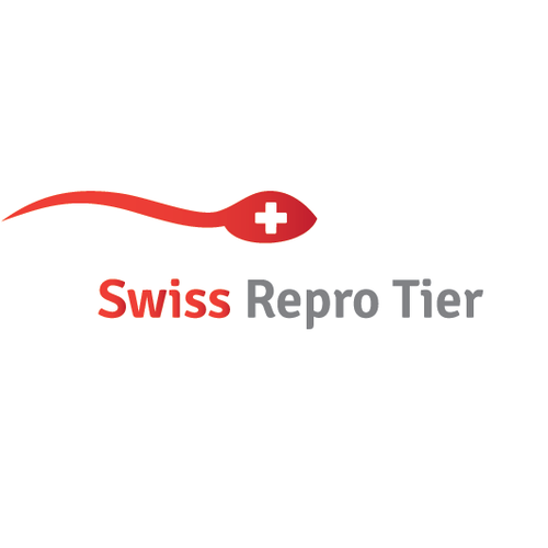 Logotipos propuesta en el concurso por G.design.plus