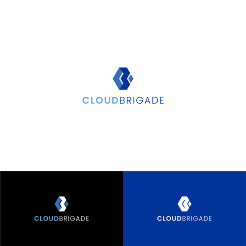 Brand Identity for Software Company Design by hidden master