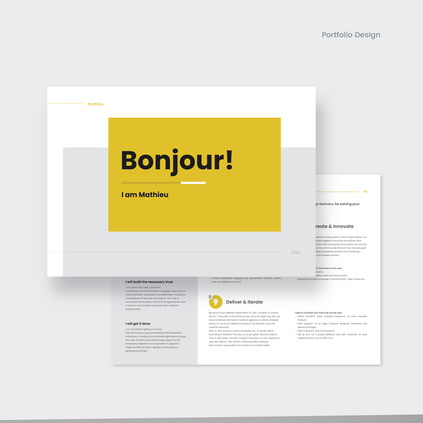 Portfolio Design for Mathieu Paradis