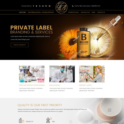 Black & gold themed website design | WordPress theme design contest