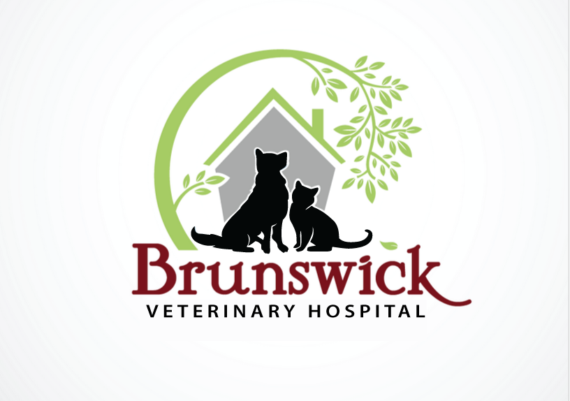 Create a eye catching, beautiful logo for a Small Animal Veterinary