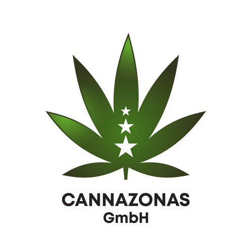 Logo & hosted website contest entry by saartifex™