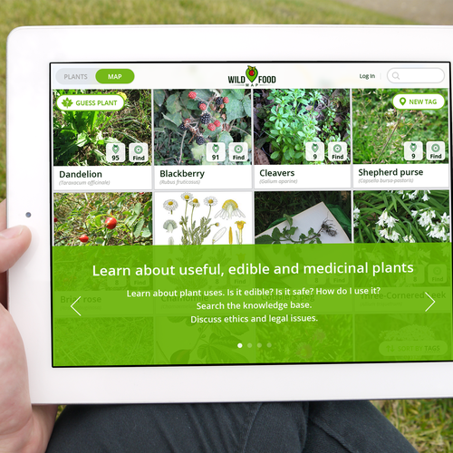 Designs | Wild Food Foraging App UI Design | App design contest