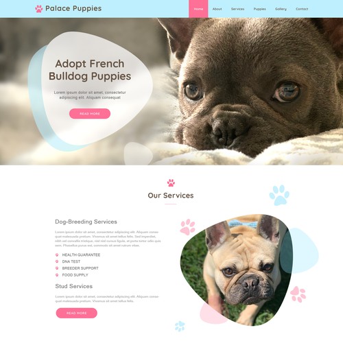 Palace Puppies Web Page Design Contest 99designs