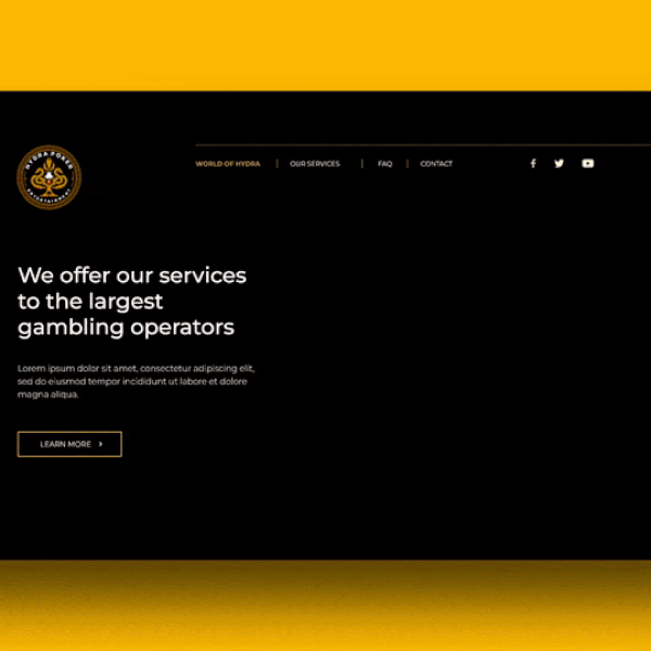 Website design + animation