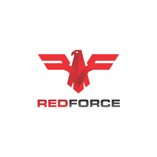 Designing a Logo for an Information Security Company Design von RayyaNamira