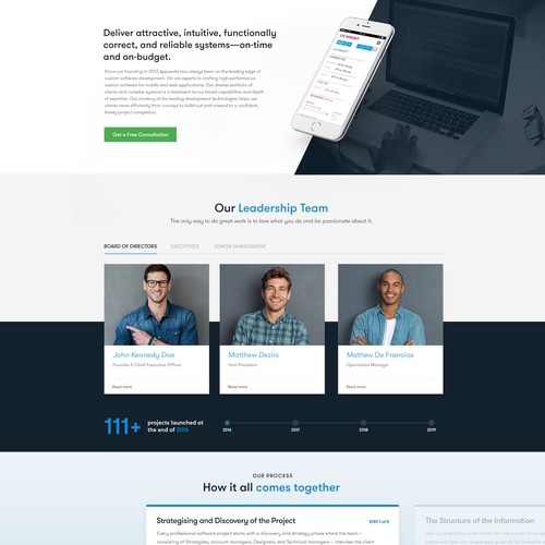 Software Development Company / Agency - Re-design Design by MetalDesigns