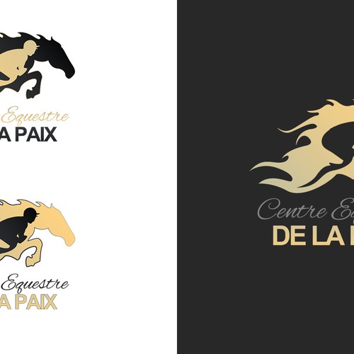 Logo design contest entry by Shinsatsu