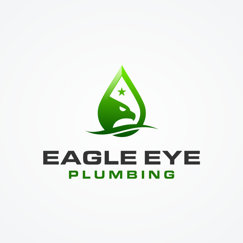 Eye catching and very marketable logo for plumbing company. The company name is Eagle Eye Plumbing Design by SYFL_