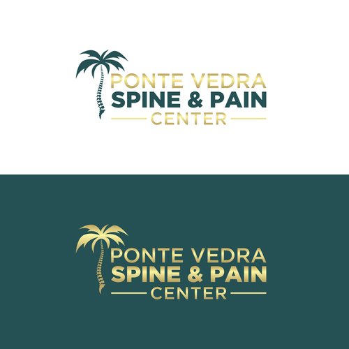 Spine and Pain Medical Practice in Florida Design by rahajuan