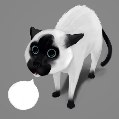 Design finalista por Sanselmi