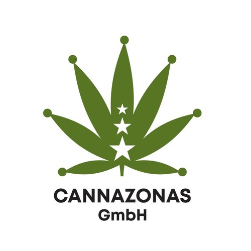 Logo & hosted website contest entry by saartifex™