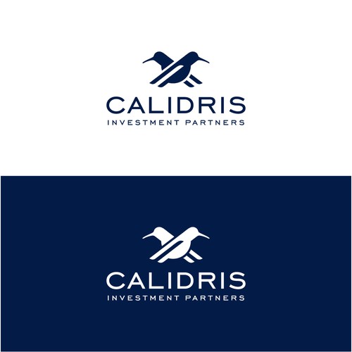 New Private Investment Firm Design by bo_rad