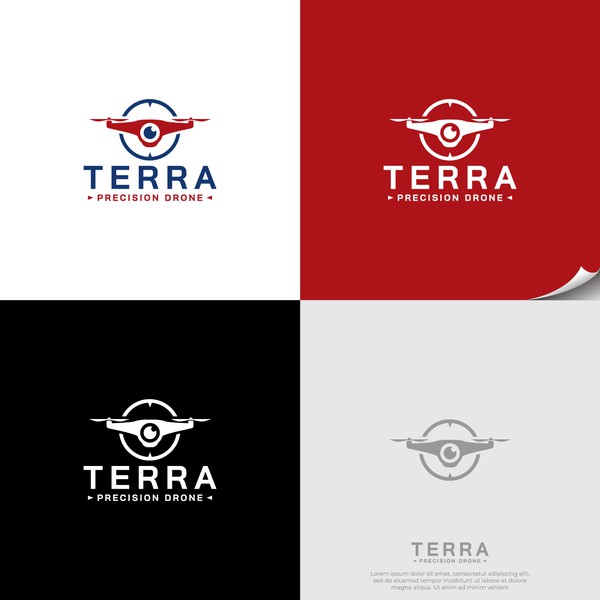 Drone Logo Design