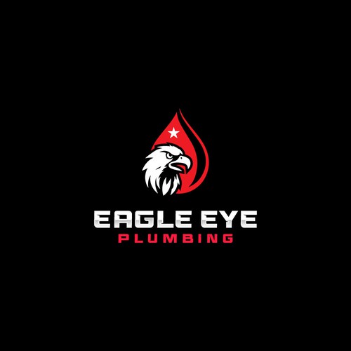 Eye catching and very marketable logo for plumbing company. The company name is Eagle Eye Plumbing Design by JakirVector