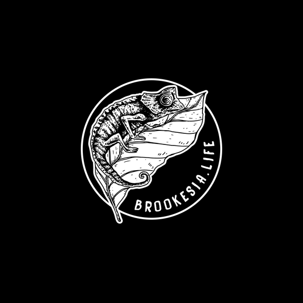 Brookesia.Life