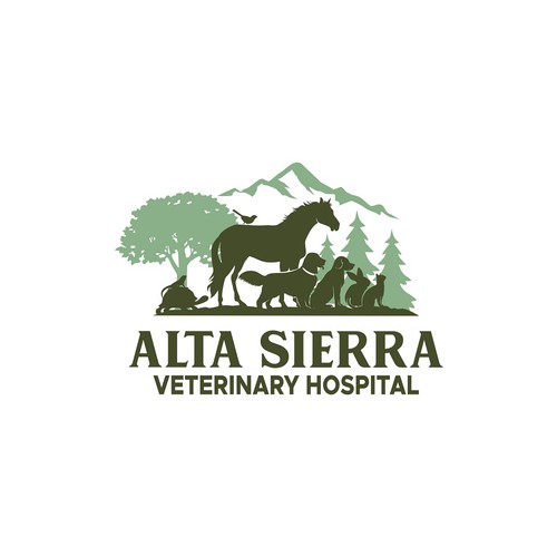 Mountain town veterinarian needs a new look! Design by LiLLah Design