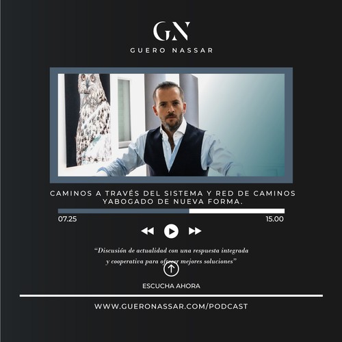 "Logotipo con autoridad para un abogado penal y lider de opinion" winning Logo & business card