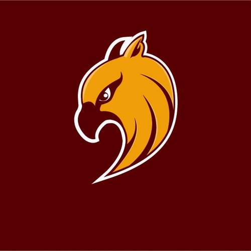 Community Contest: Rebrand the Washington Redskins  Design by Z Creatives