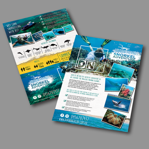 Design an eye catching flyer for snorkel tours on the Ningaloo Reef! Design by PA Design Studio