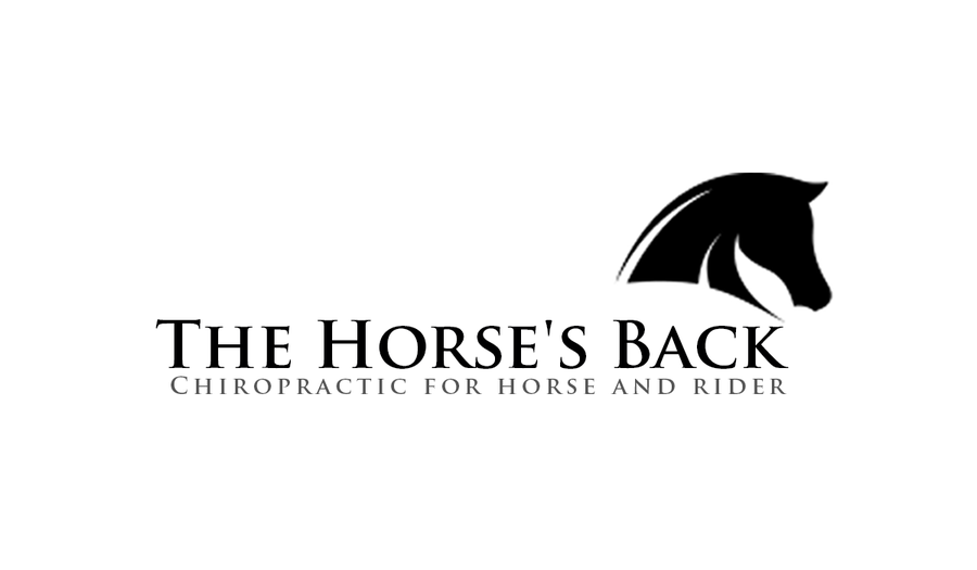 The Horse's Back - Chiropractic for horse and rider logo | Logo design ...