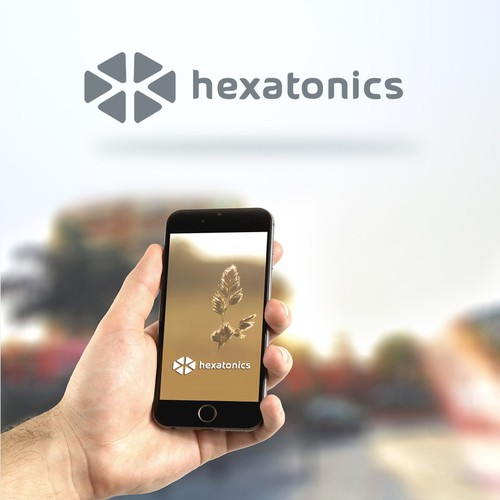 Logo design contest entry by radikt