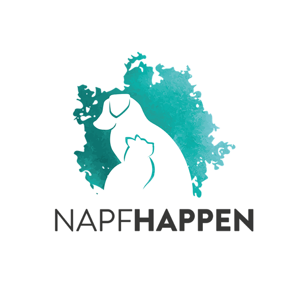 Logodesign for cat and dog nutrition