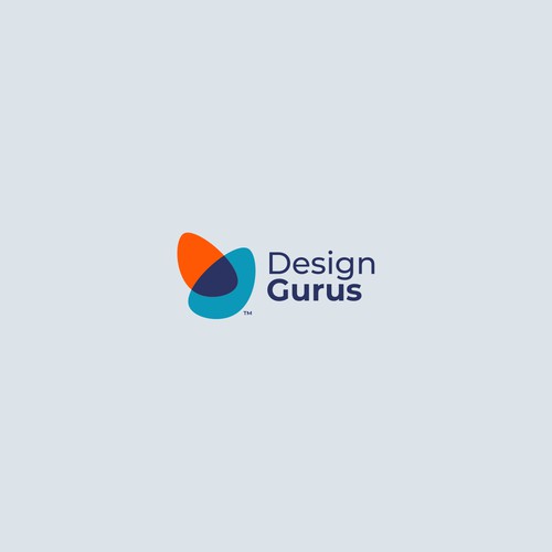 DesignGurus.com  --  NEW AGENCY Design by VisibleGravity™