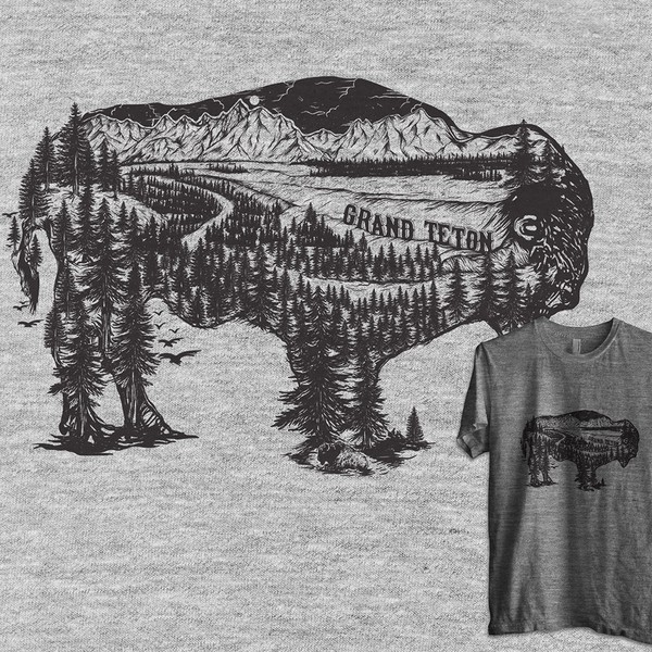 Bison of grand teton