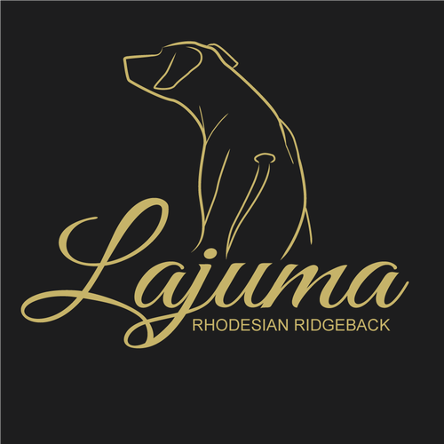  contest entry by HReka