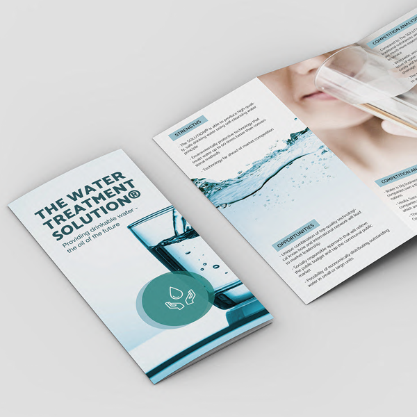 Tri-fould brochure design