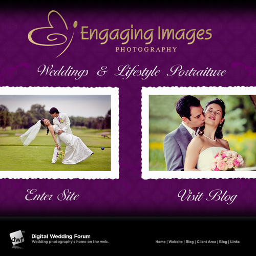 Wedding Photographer Landing Page - Easy Money! Diseño de Vector Hero