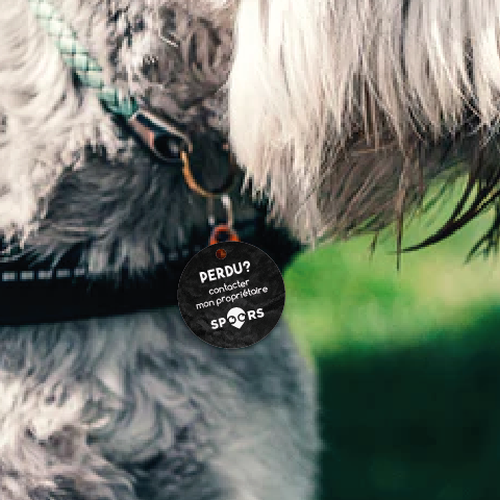  contest entry by Lina Becerra