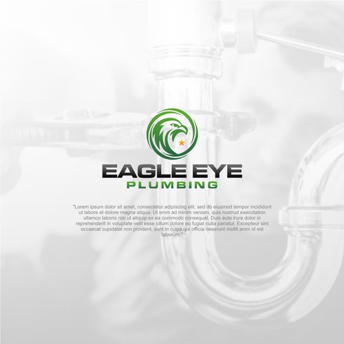 Eye catching and very marketable logo for plumbing company. The company name is Eagle Eye Plumbing Design by ElVano_Eiji ✔