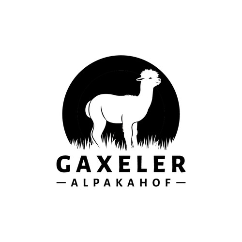  contest entry by Debbie Gray