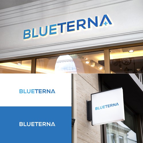 Blueterna Branding contest Design by Imam H.