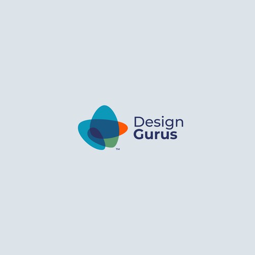 DesignGurus.com  --  NEW AGENCY Design by VisibleGravity™