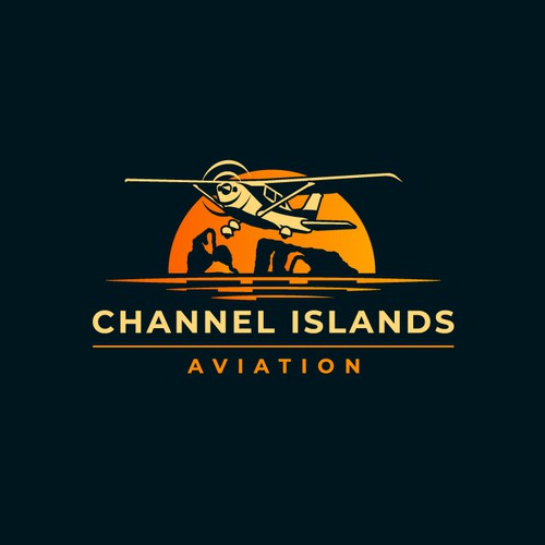 Classic Youthful Flight School catering to future pilots and luxury jet owners Design by efatabali