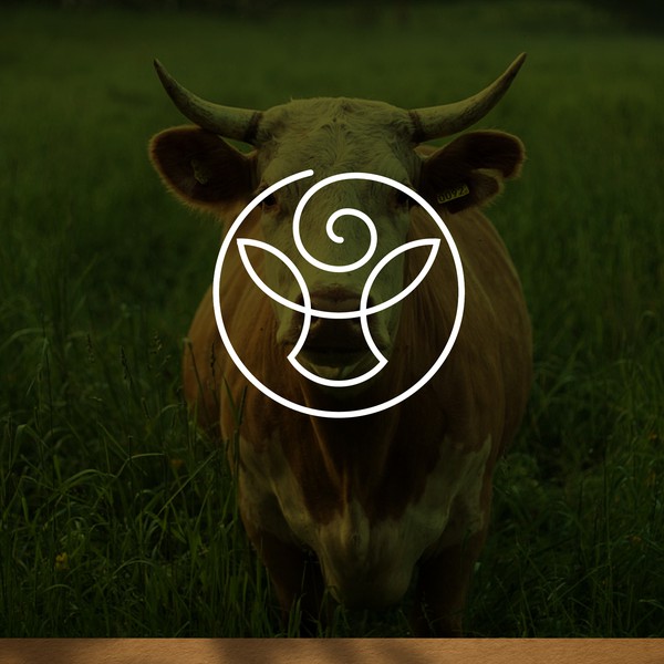 Design by trajandesign titled "Hodderville"