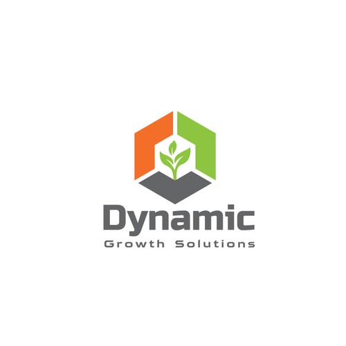 Dynamic Growth Solutions Design by design canvas