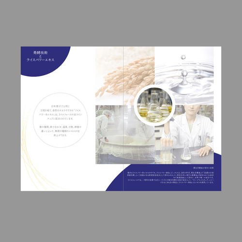 Brochure contest entry by Chimiki