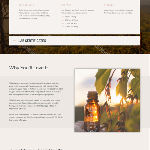 WordPress theme design contest entry by ViGao