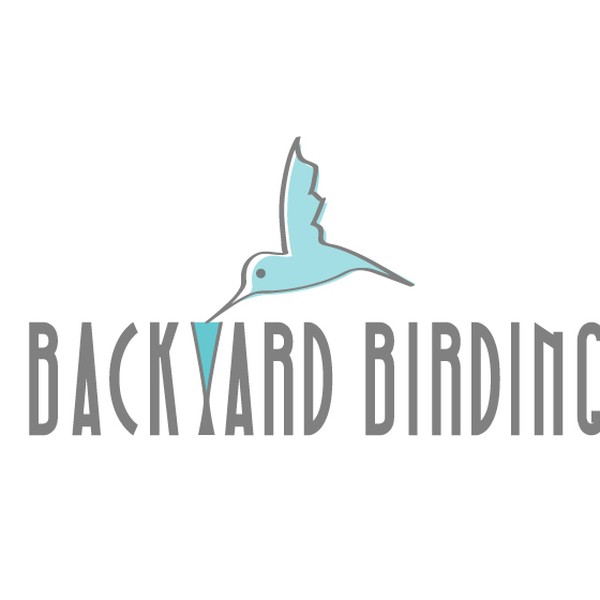 Create a capturing bird feeder illustration for backyard birding, mostly hummingbirds