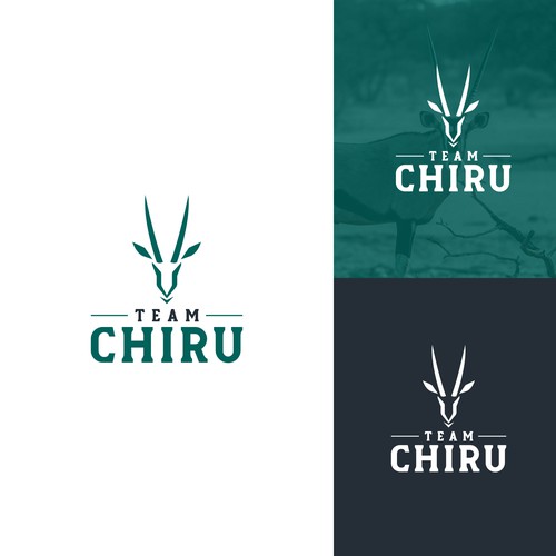 Visually appealing logo for our trail running team Design by Millie Arts