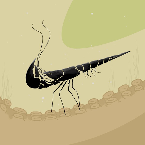 Featured for Surrealism 100 Yrs Anniversary | Nike logo